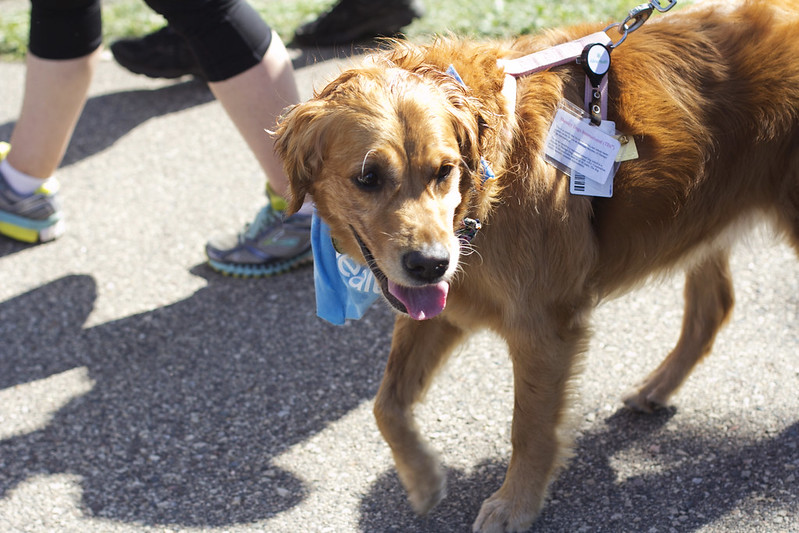 Walk Schedule - Minnesota Recovery Connection